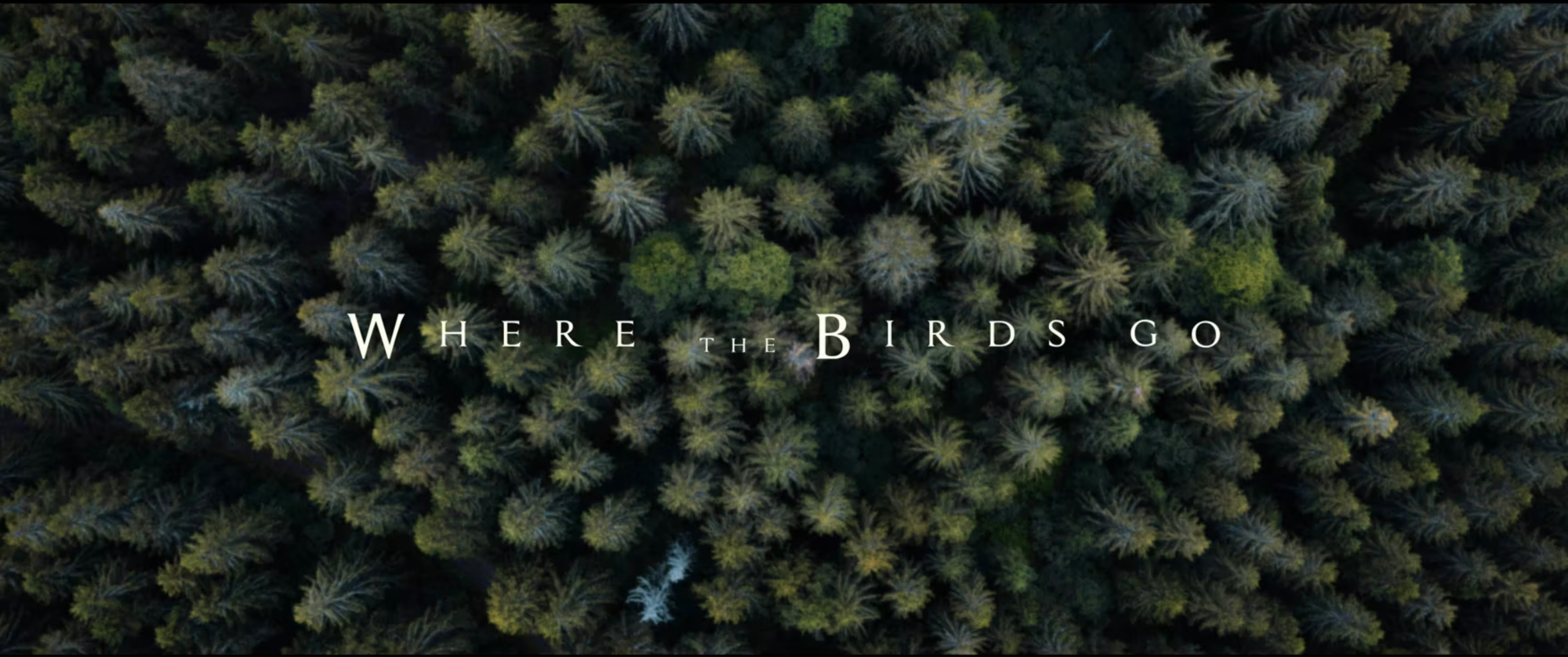Where the birds go - OfficialTrailer (2019)