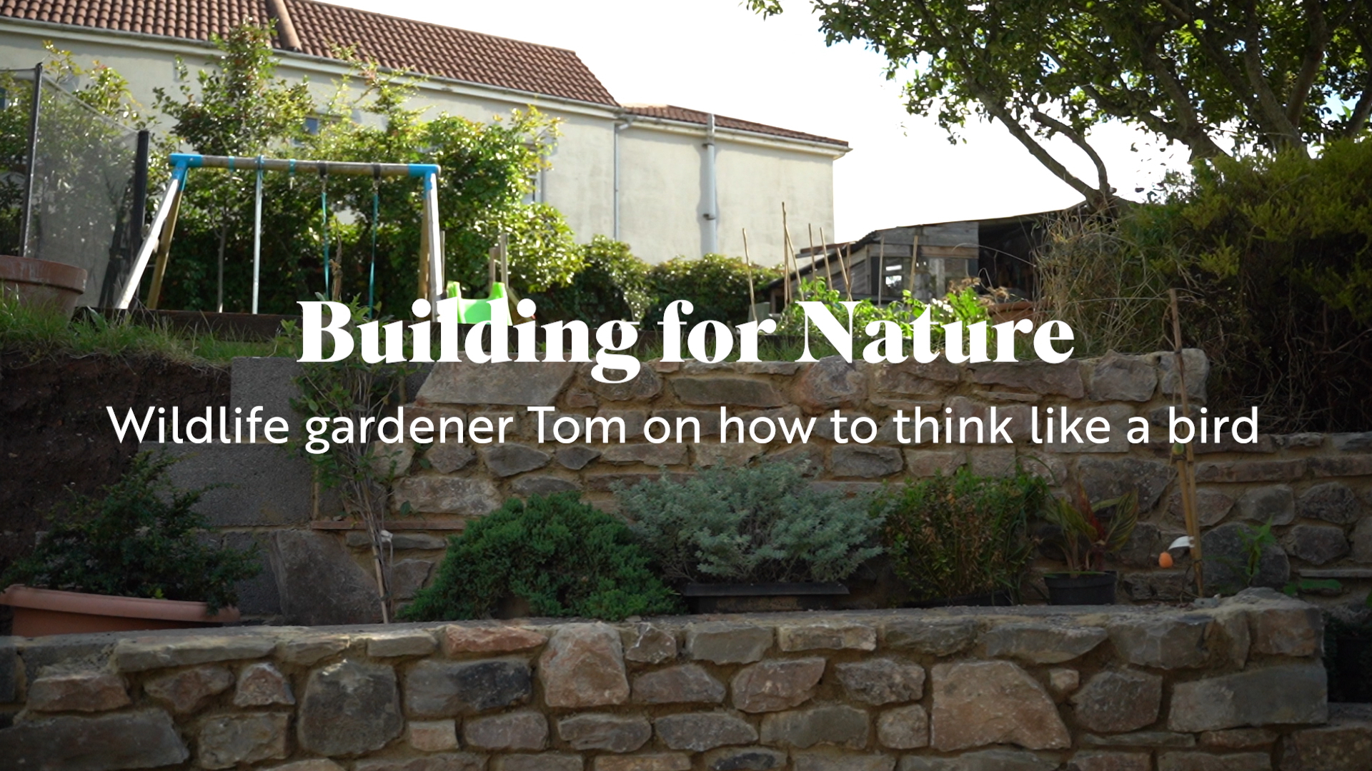 Building for Nature - Tom's story (2022)